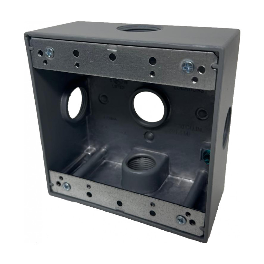 2-Gang Box (5) 3/4" Holes Side Lug