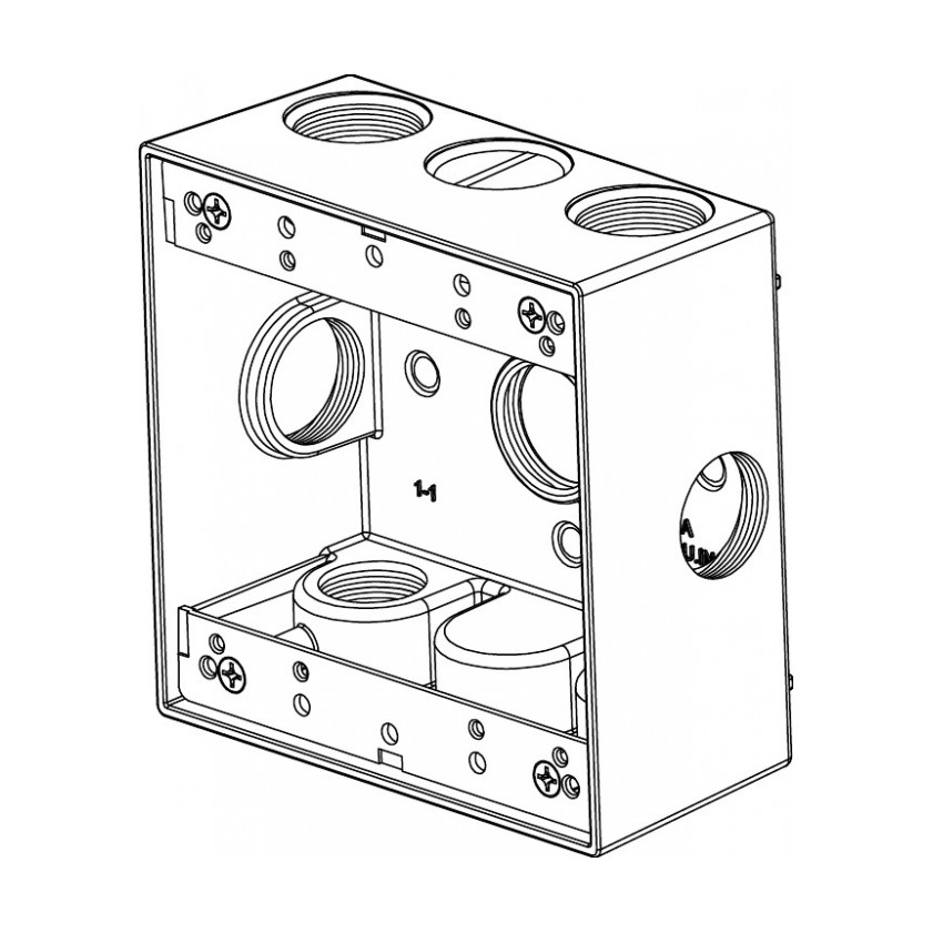 2-Gang Box (7) 3/4" Holes Side Lug