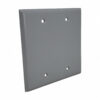 2-Gang Blank Cover — Gray — Superflex part 2GBC